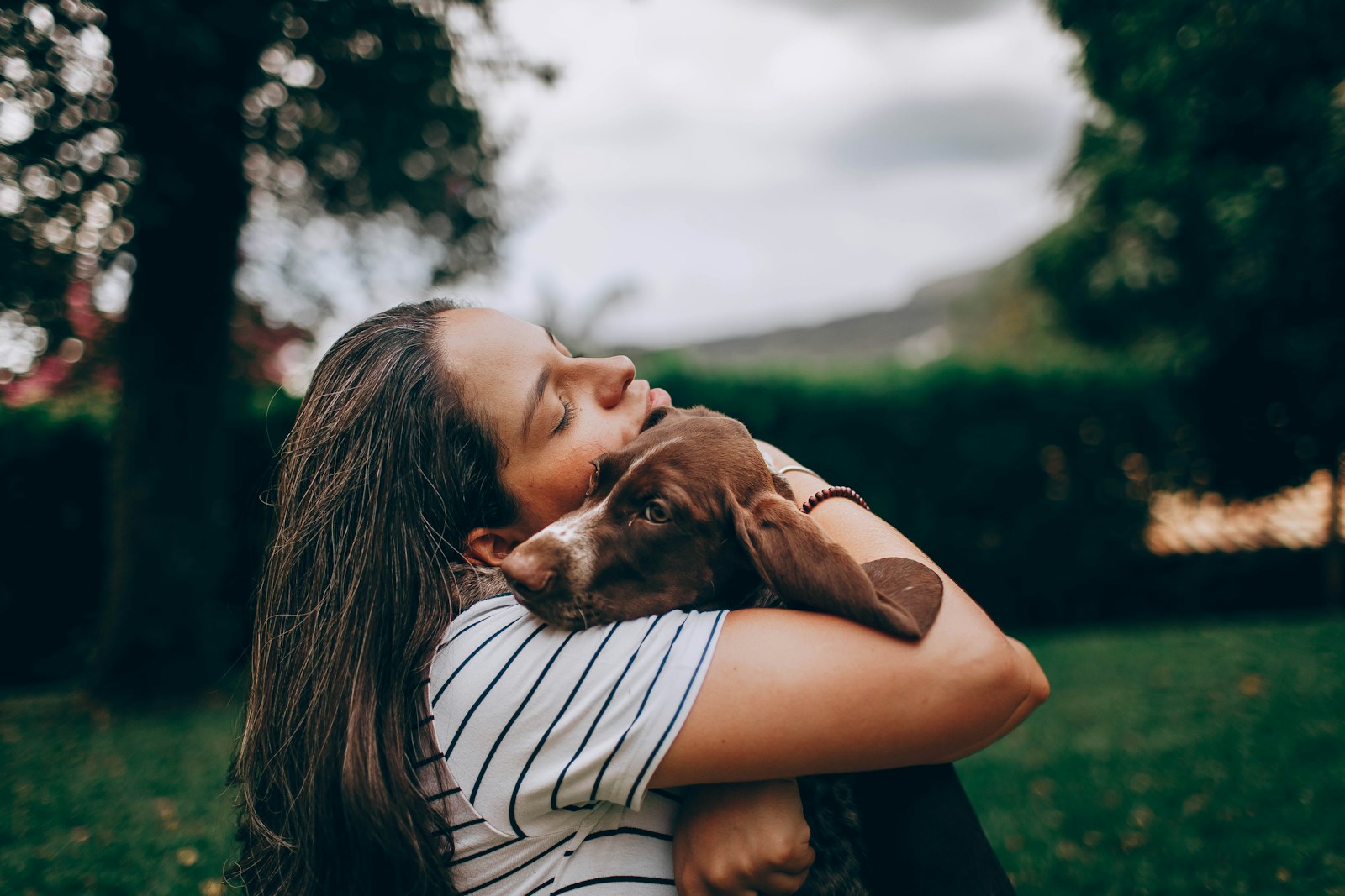 Pourquoi adopter un chien ?