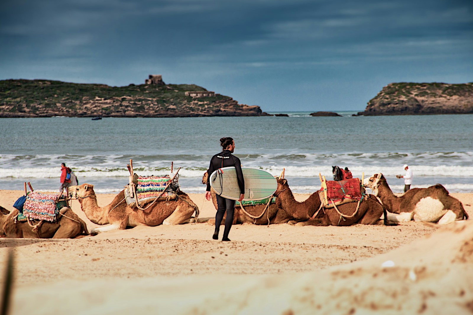 Essaouira ne se résume pas à la visite de monuments – de nombreuses activités vous attendent pour profiter de son environnement naturel et de sa culture.