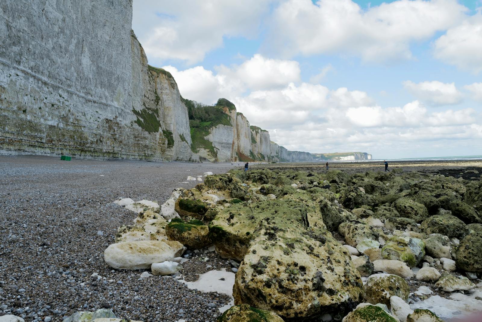 Fécamp est indissociable de ses falaises de craie blanche, emblèmes de la côte d’Albâtre.
