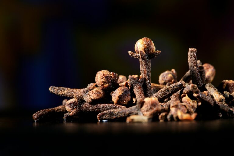 Article | Les avantages étonnants du clou de girofle