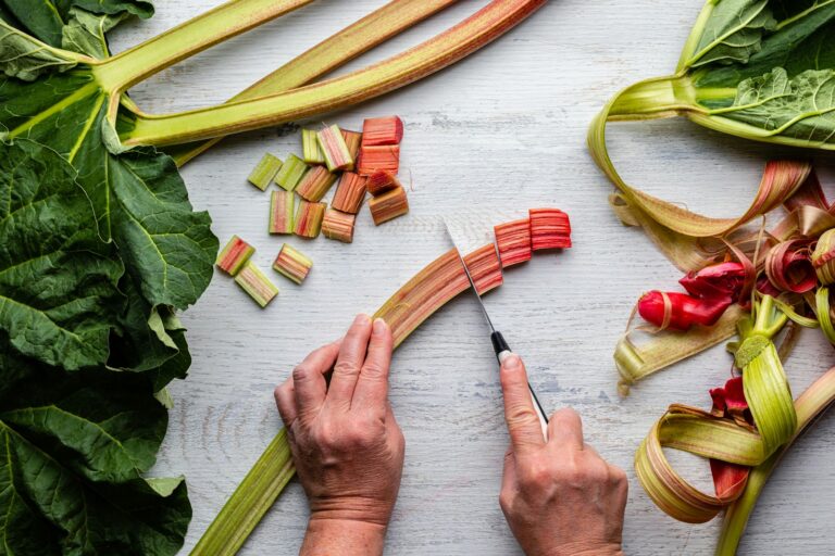 Article | Les vertus de la rhubarbe : quels avantages pour la santé ?