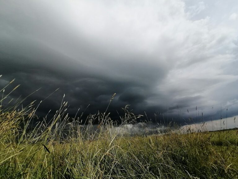Article | Naissance d’un géant océanique : les secrets du cyclone tropical