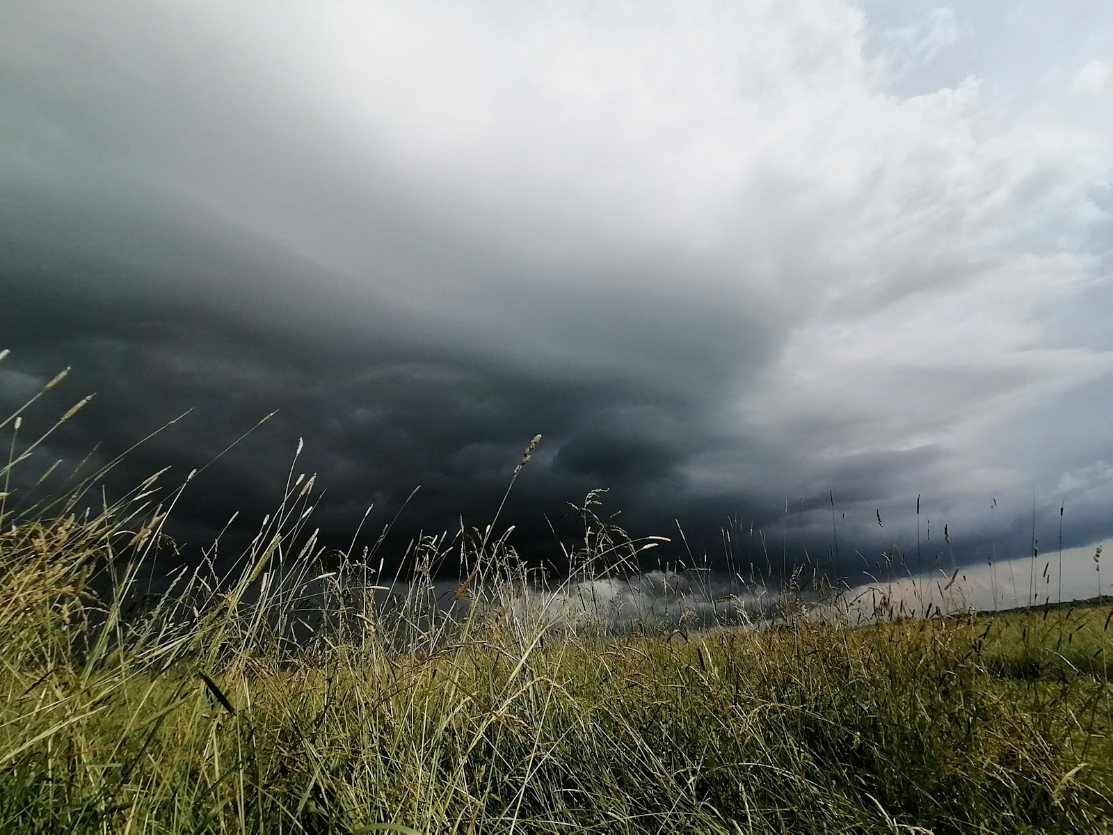 Naissance d'un géant océanique : les secrets du cyclone tropical
