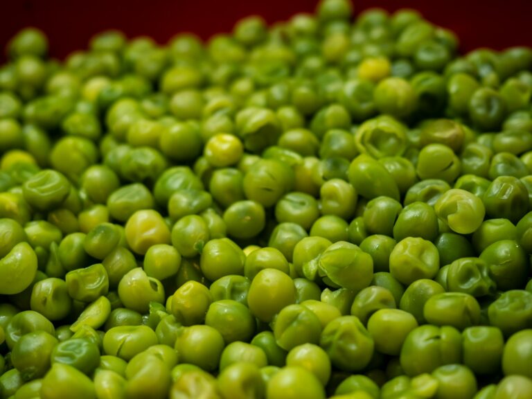 Article | Quels avantages offrent les petits pois ?
