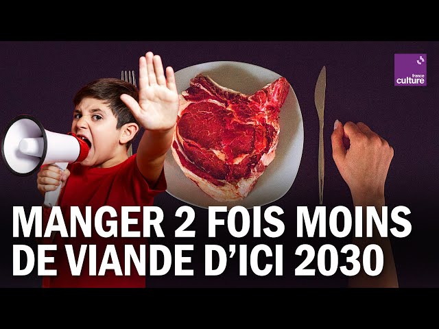 600 millions d'animaux tués par an : L214 veut changer la donne