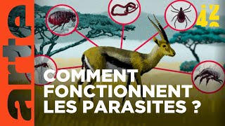 À quoi servent les parasites ?