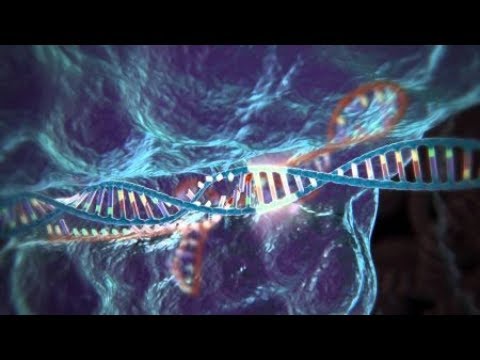 CRIPR-Cas9 = bêtise humaine ?