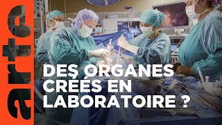 Cœur et organes : fabrication sur commande ?