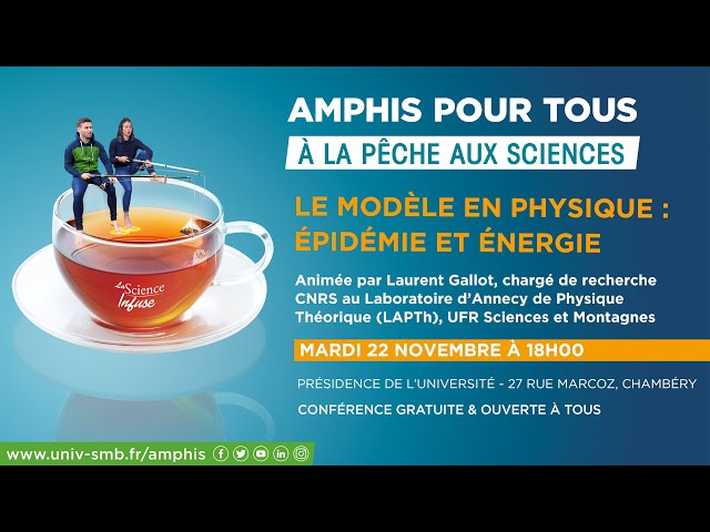 Le modèle en physique : épidémie et énergie