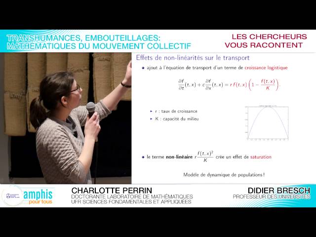 Transhumances, embouteillages, mathématiques du mouvement collectif