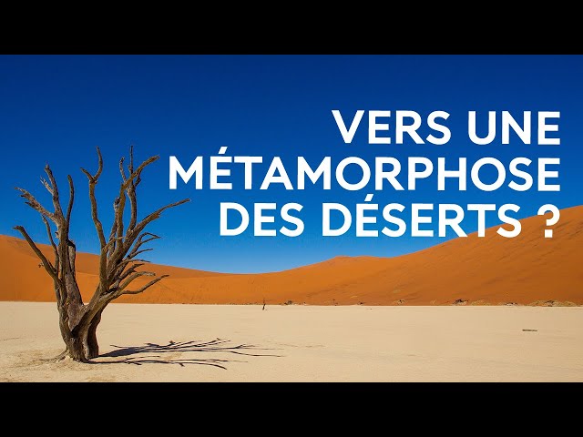 Dans l’ombre des dunes : faire face à la désertification