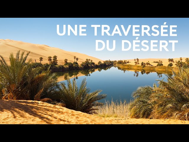 L'eau en milieu aride : une traversée du désert