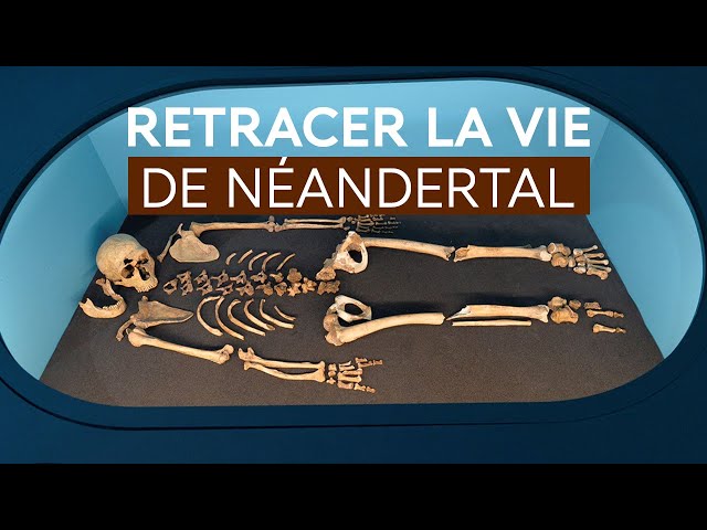 Sur les traces des Néandertaliens