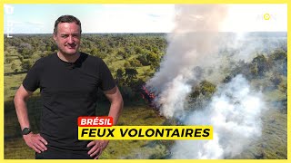 Feux volontaires au Brésil sous le contrôle de la population indigène