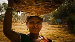 Inde du Sud : voyage au cœur du Tamil Nadu et de ses traditions