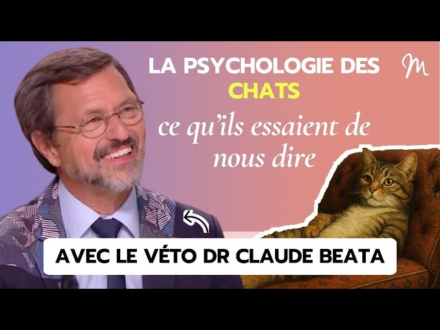 La psychologie des chats révélée