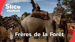 Les Bunong : les derniers frères des éléphants
