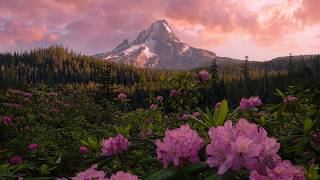 Les merveilles de l’Oregon :  entre volcans, forêts sacrées et cow-boys