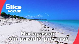 Madagascar : une nature extraordinaire à préserver