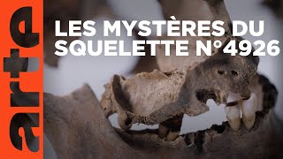 Mort par crucifixion – Anatomie d’une découverte