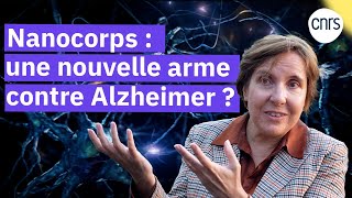 Nanocorps : agir au cœur des neurones Alzheimer