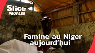 Niger : pourquoi la famine persiste malgré les récoltes ?