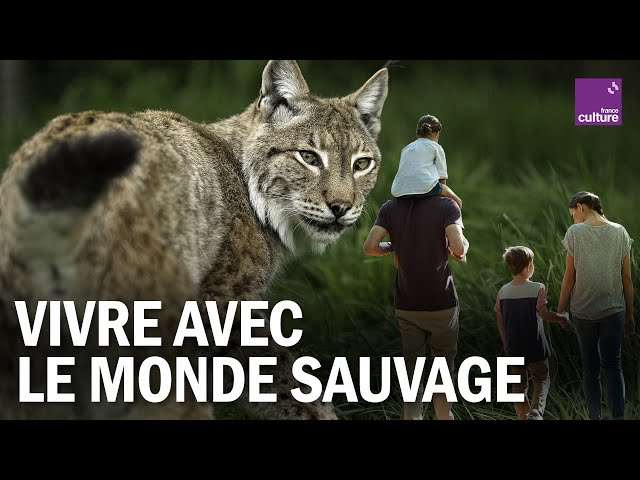 Ours, loups, lynx : vivre avec le monde sauvage à nos portes