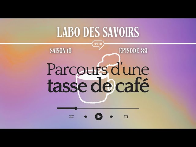 Parcours d’une tasse de café