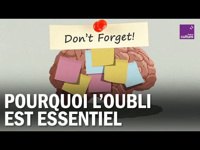 Pourquoi l'oubli est essentiel à notre mémoire