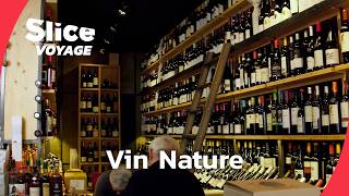 Randonnée oenologique : du Bourgogne au vin nature