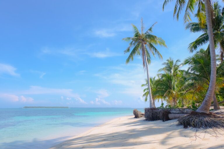 Article | À la découverte des plages les plus préservées de la planète
