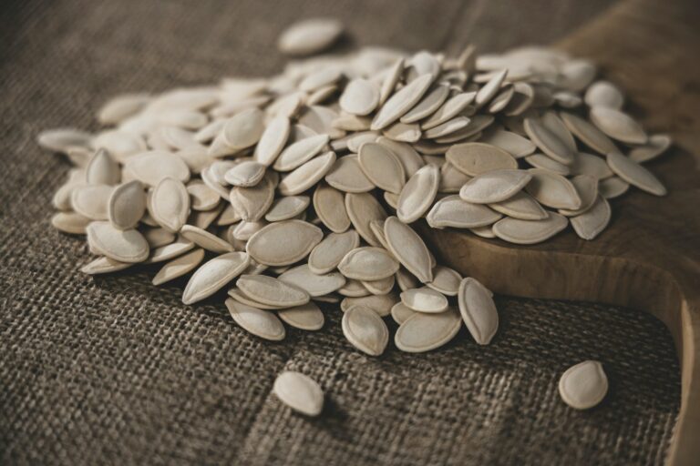 Article | Graines de courge : 5 bienfaits à découvrir