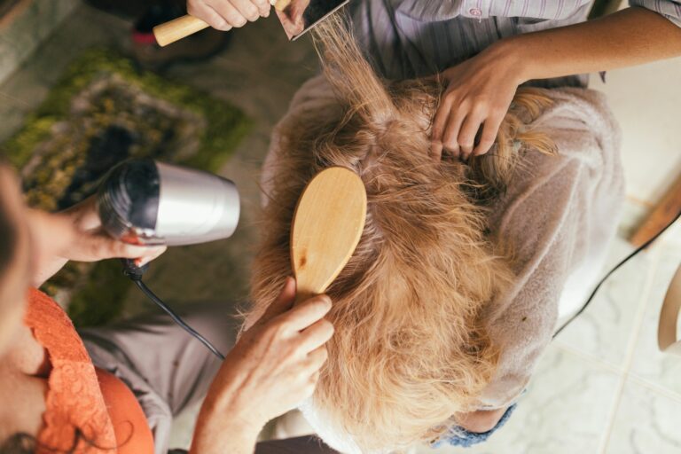 Article | Hygiène du chien : les gestes essentiels pour un compagnon en pleine forme