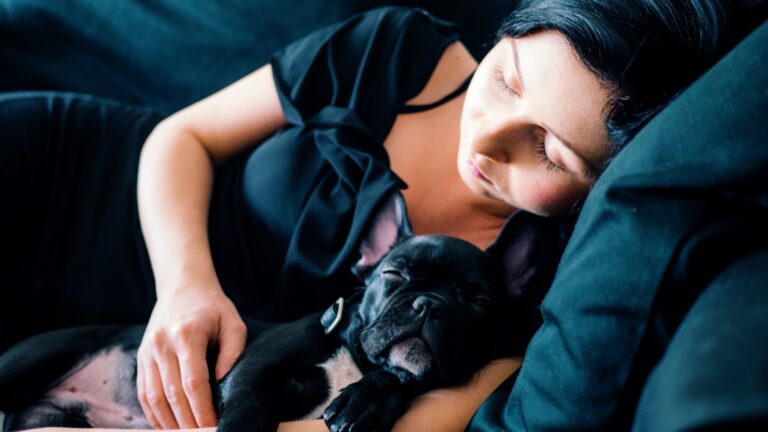 Article | Les raisons derrière la diminution du sommeil avec l’âge