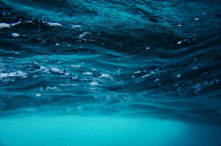 Article | Mer et océan : comment les distinguer ?
