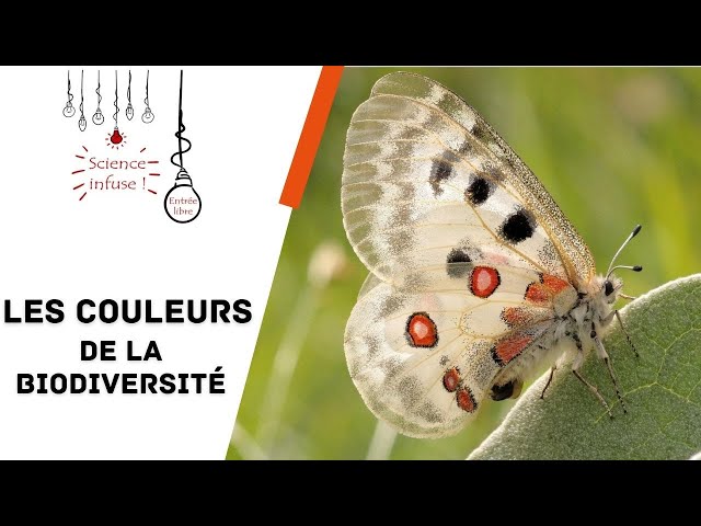 Les couleurs de la biodiversité