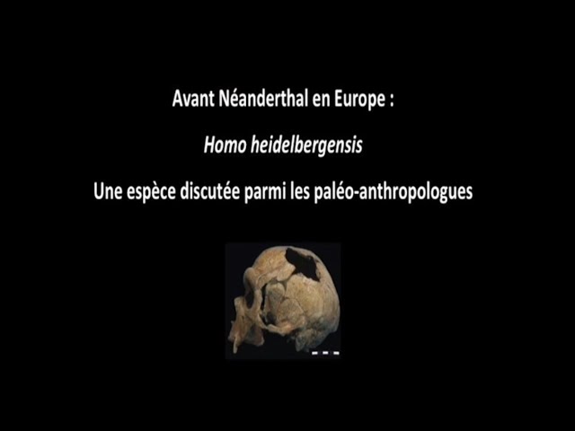 Avant Néandertal en Europe : Homo Heidelbergensis