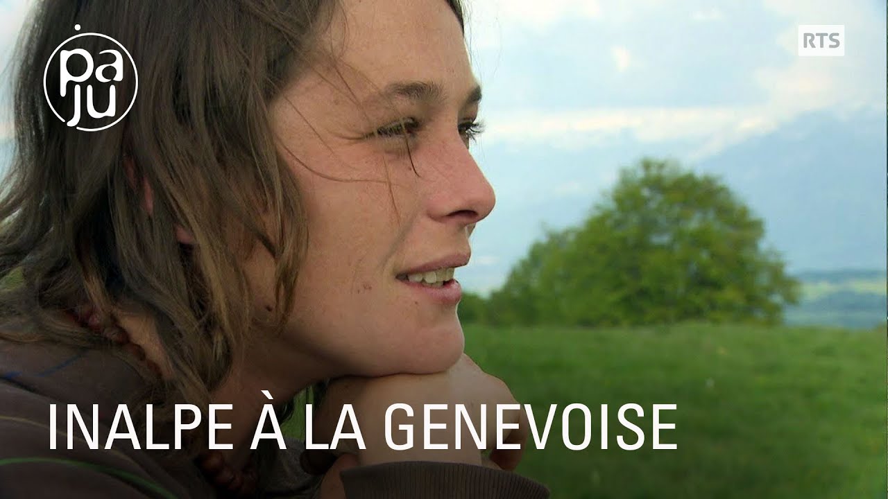 Des pâturages Genevois au Salève, une transhumance unique