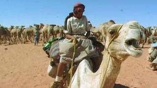 Égypte : vers la frontière israélienne