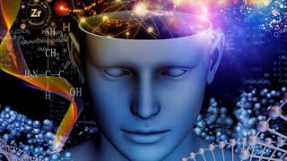 Les secrets de la conscience humaine : le cerveau en miroir