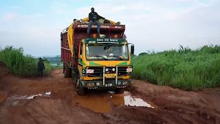 Nola-Bangui, la piste de tous les dangers !
