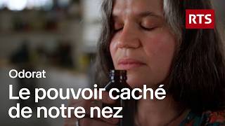 Odorat : le pouvoir caché de votre nez sur votre santé