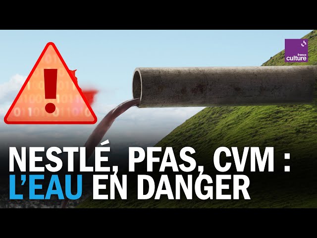 Pollution de l'eau : l’État savait, il n’a rien fait