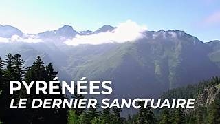 Parc National des Pyrénées - Le Sanctuaire de la biodiversité française