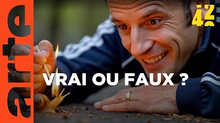 Quel est le pouvoir de la désinformation ?
