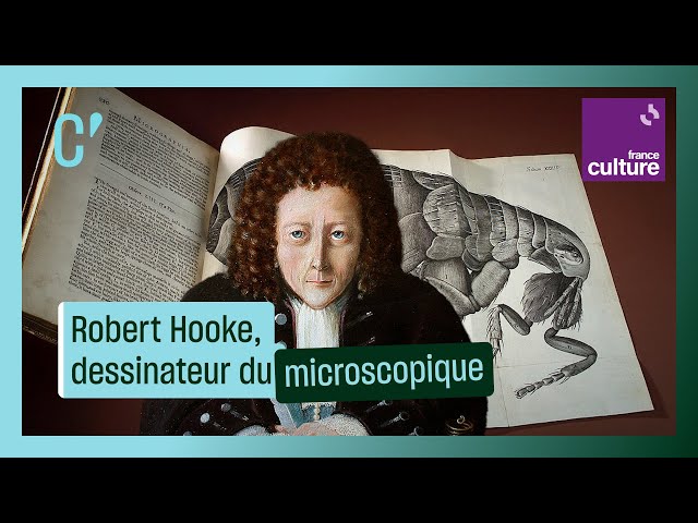 Robert Hooke, premier dessinateur du microscopique