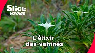 Umuhei : le secret polynésien du désir