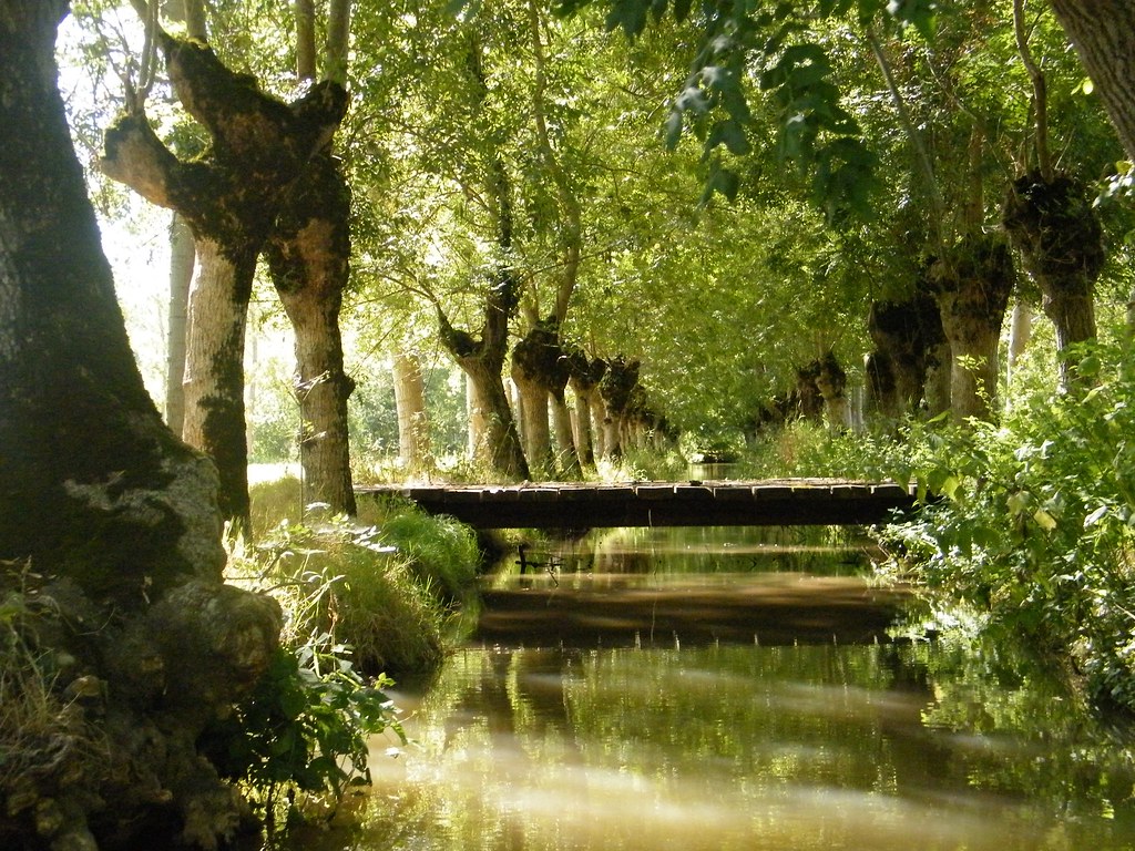 Le marais Poitevin