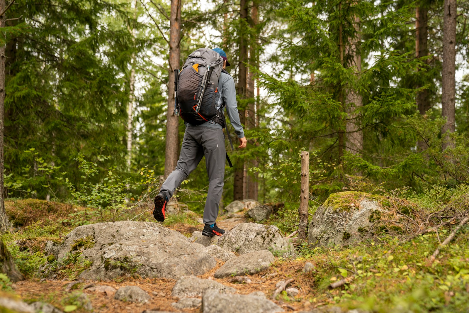 Choisissez des parcours boisés ou en vallée