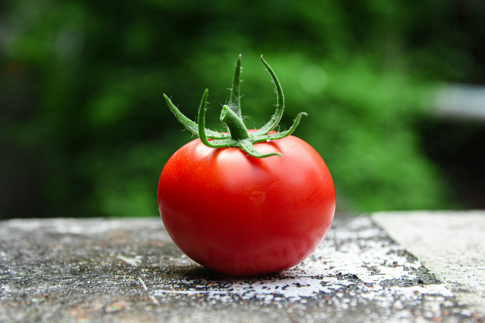 Des tomates pour bien s'hydrater